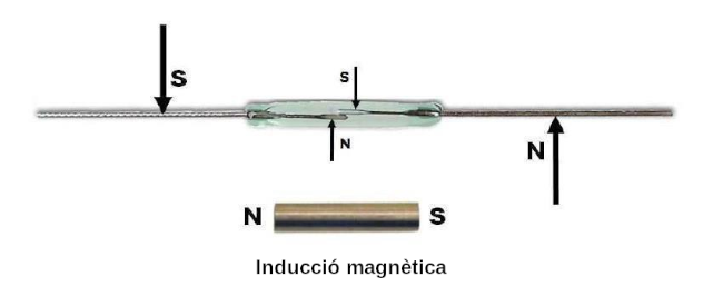 Inducción